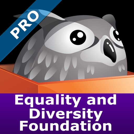 Equality & Diversity Foundation Pro