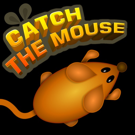 Catch The Mouse Cat Game icon