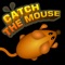 Catch The Mouse Cat Game