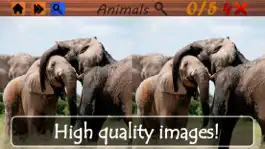 Game screenshot Spot the Differences - Animals mod apk