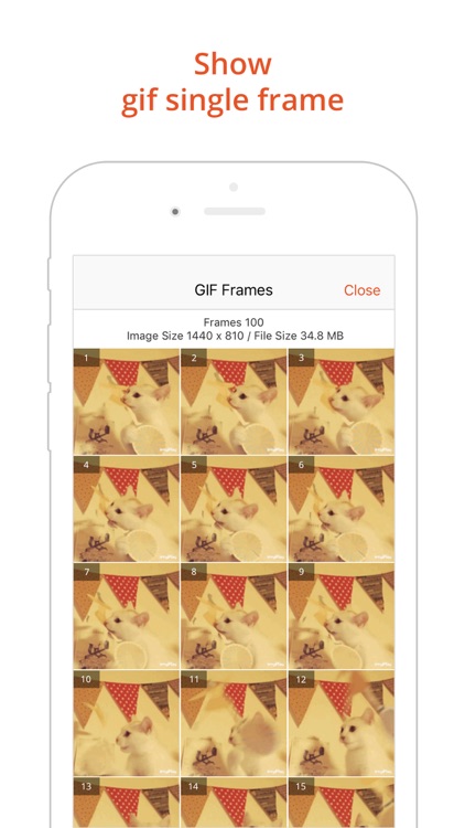 GIF Viewer - Animated GIF Player Album screenshot-4