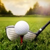 Golf 101- Quick Study Reference with Video Lessons