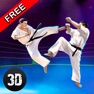 Get Karate Do Fighting Tiger 3D - 2 for iOS, iPhone, iPad Aso Report
