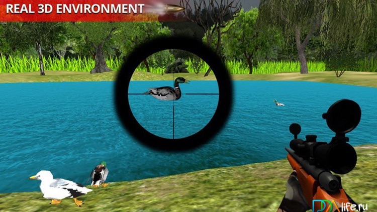 Duck Hunter Pro Challenge Escape Of Sniper Shootin