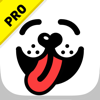 Dog Whistle Pro-Train Your Dog with Dog Whistle& Professional Training Lessons - 伟 魏
