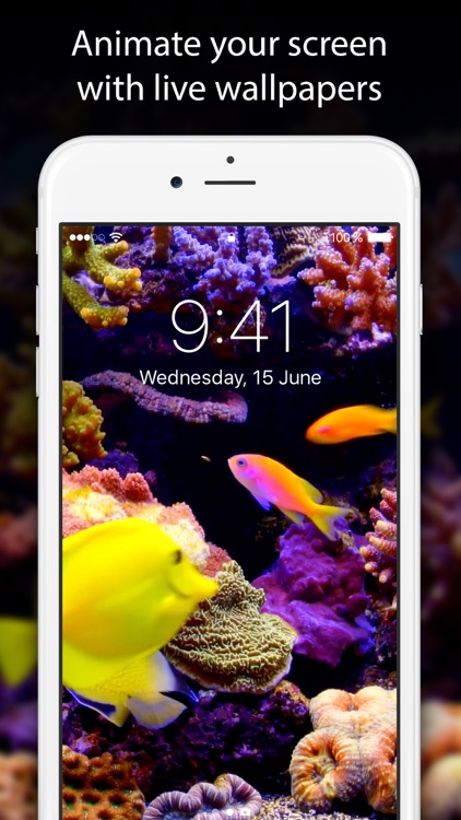 Live Wallpapers and Themes screenshot-0