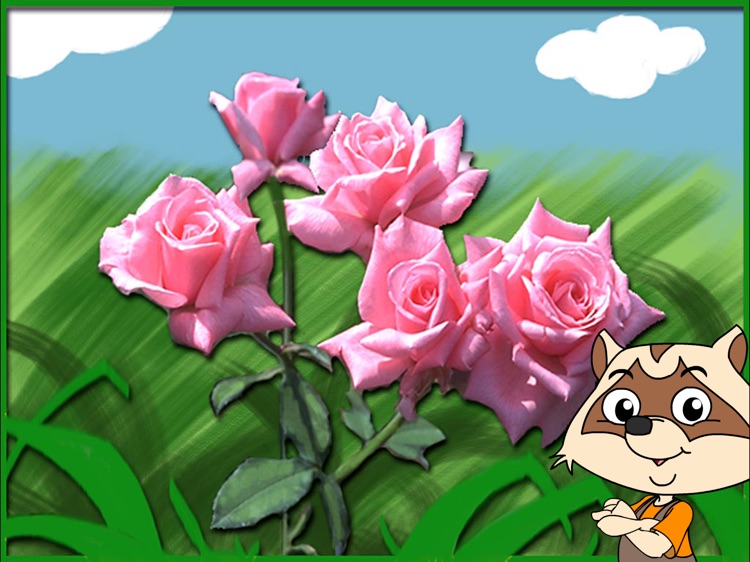 Mystery Pictures with Max & Coco screenshot-4