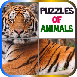 Puzzles of Animals