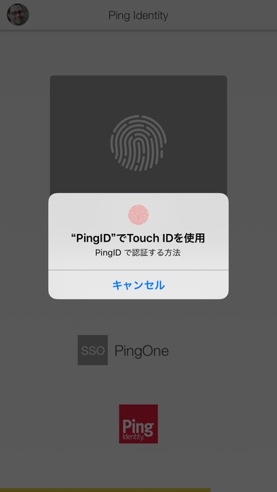 PingIDのスクリーンショット2 PingIDのスクリーンショット2