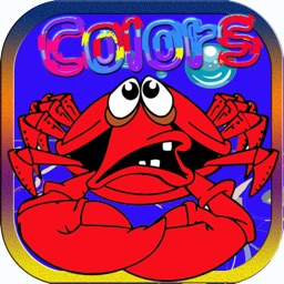 Crab Colour Puzzle Quiz Learning Children Boy Girl