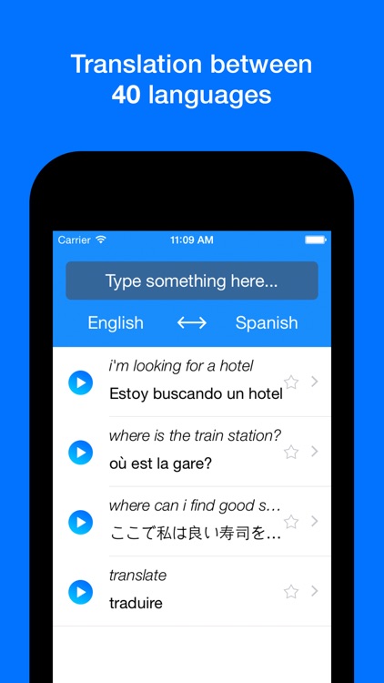 Translate Professional