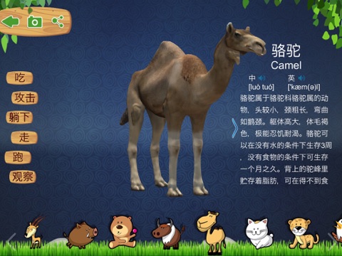 4D动物乐园 screenshot 3