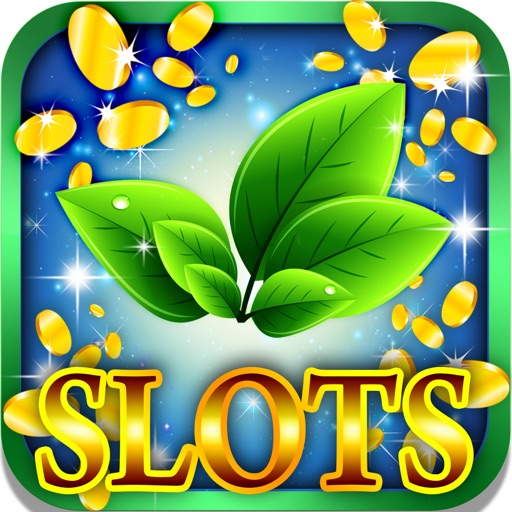 Colorful Slot Machine: Bet on the mint leaf Icon