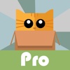 BoxCat BrickBuster Pro