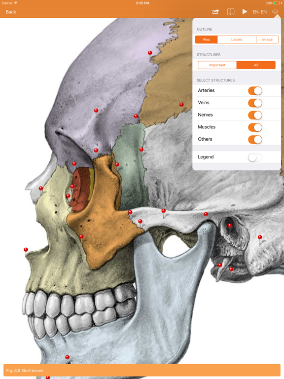Sobotta Anatomy Atlas screenshot