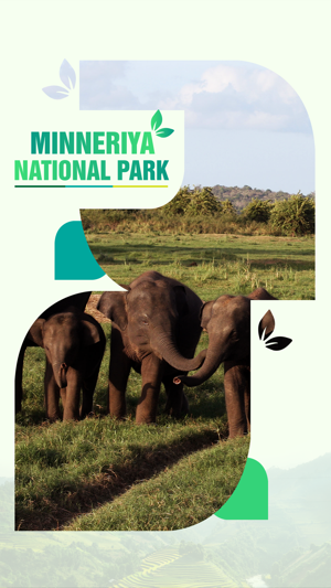 Minneriya National Park Travel Guide