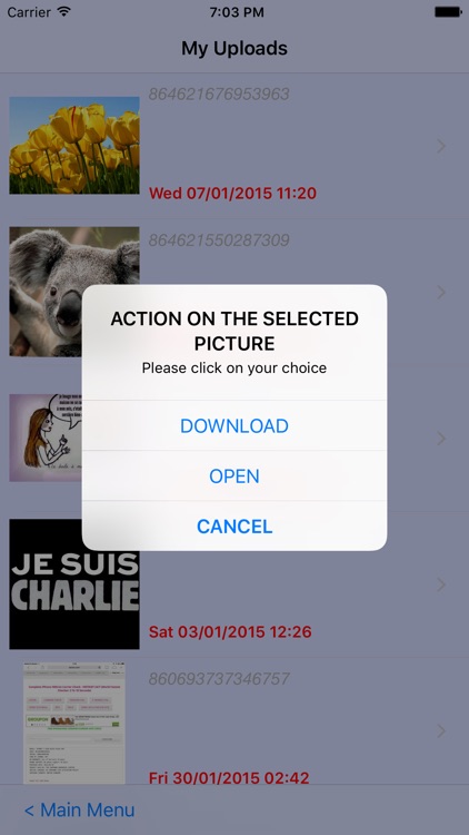 Your Albums, photos and Videos screenshot-4