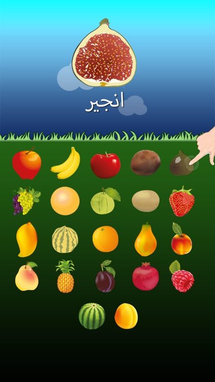 fruits name with picture in english for kids
