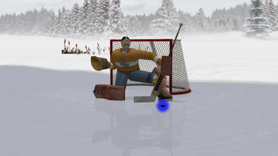 Virtual Goaltenderのおすすめ画像3