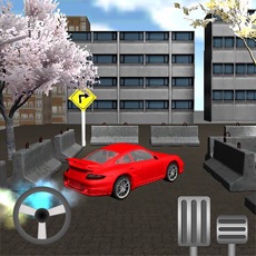 Activities of Car Parking Real 3D