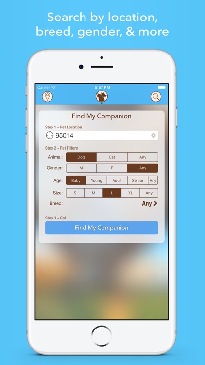 coMpanion - Pet Finder and Adoption Assistant
