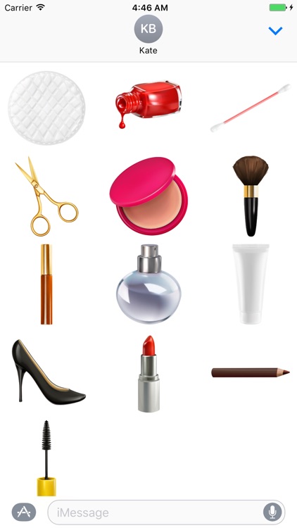 Fashion Kit