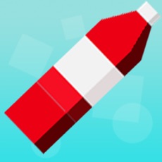 Activities of Bottle Flipping Challenge 2k17