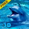 Sea Simulator: Dolphin 3D