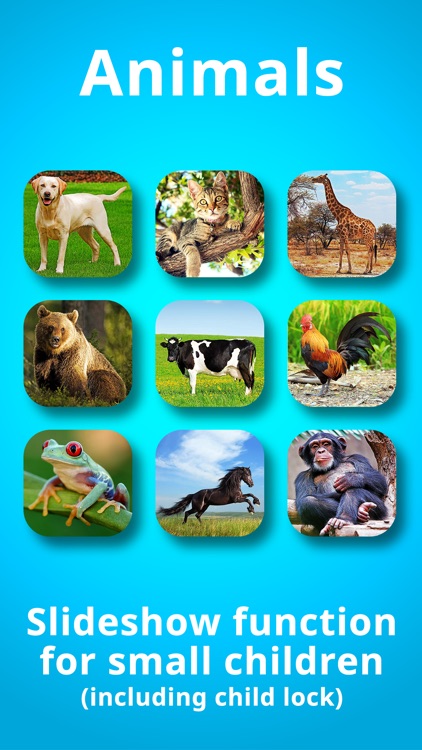 Animals for Babies & Toddlers Free Flashcards screenshot-3