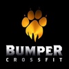CrossFit Bumper