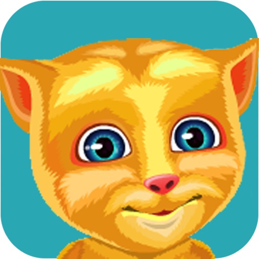 猫猫修理毛发洗澡游戏 之 金杰猫