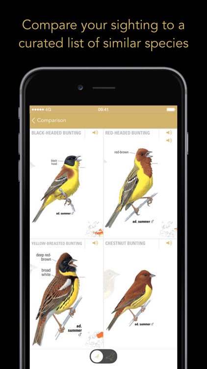 Collins Bird Guide screenshot-4
