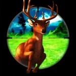2017 Big Deer Safari Hunting challlenge Attacking