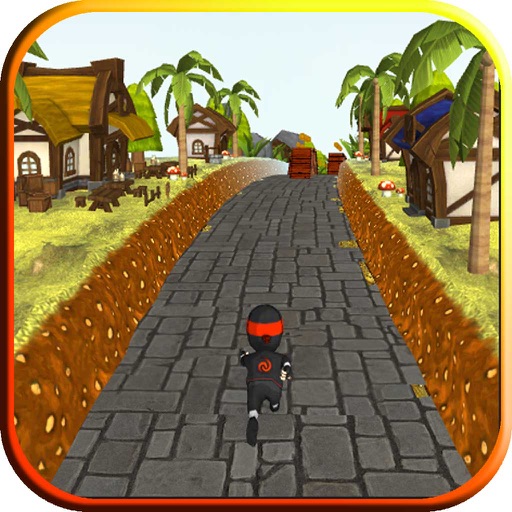 Ninja Run 3D iOS App