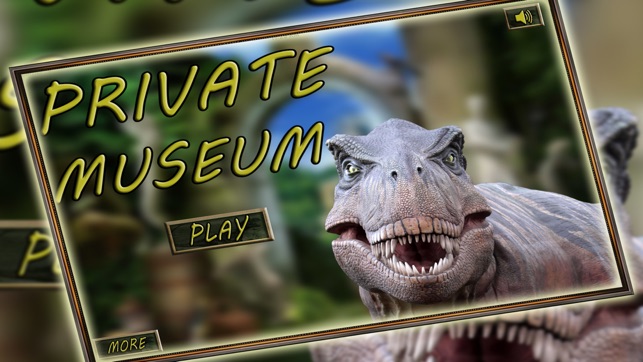 Hidden Object Private Museum