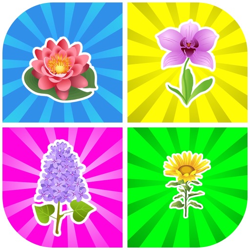 Matching Pairs Flowers-Flashcard Game For Toddlers Icon