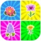 Matching Pairs Flowers-Flashcard Game For Toddlers