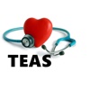 TEAS Study Guide and Glossary- Flashcard and Video