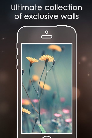 Blurr - Best Blur effect Live Wallpapers screenshot 2