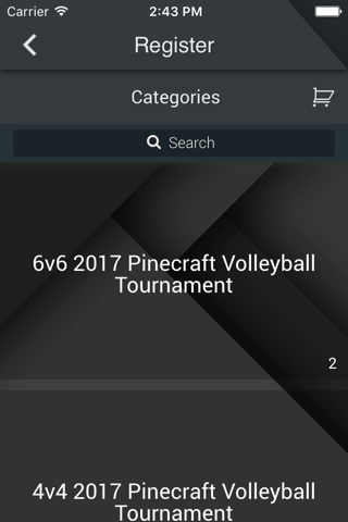 Pinecraft Volleyball screenshot 3