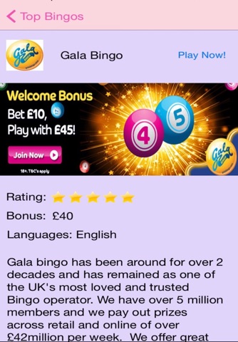 Online Bingo screenshot 3