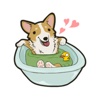 My Corgi Sticker Pack for iMessage