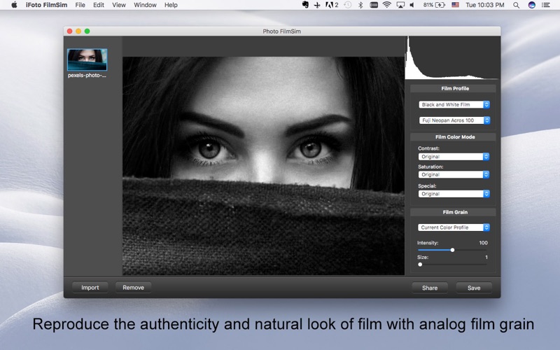iFoto FilmSim - Provide analog film effects thumbnail 1
