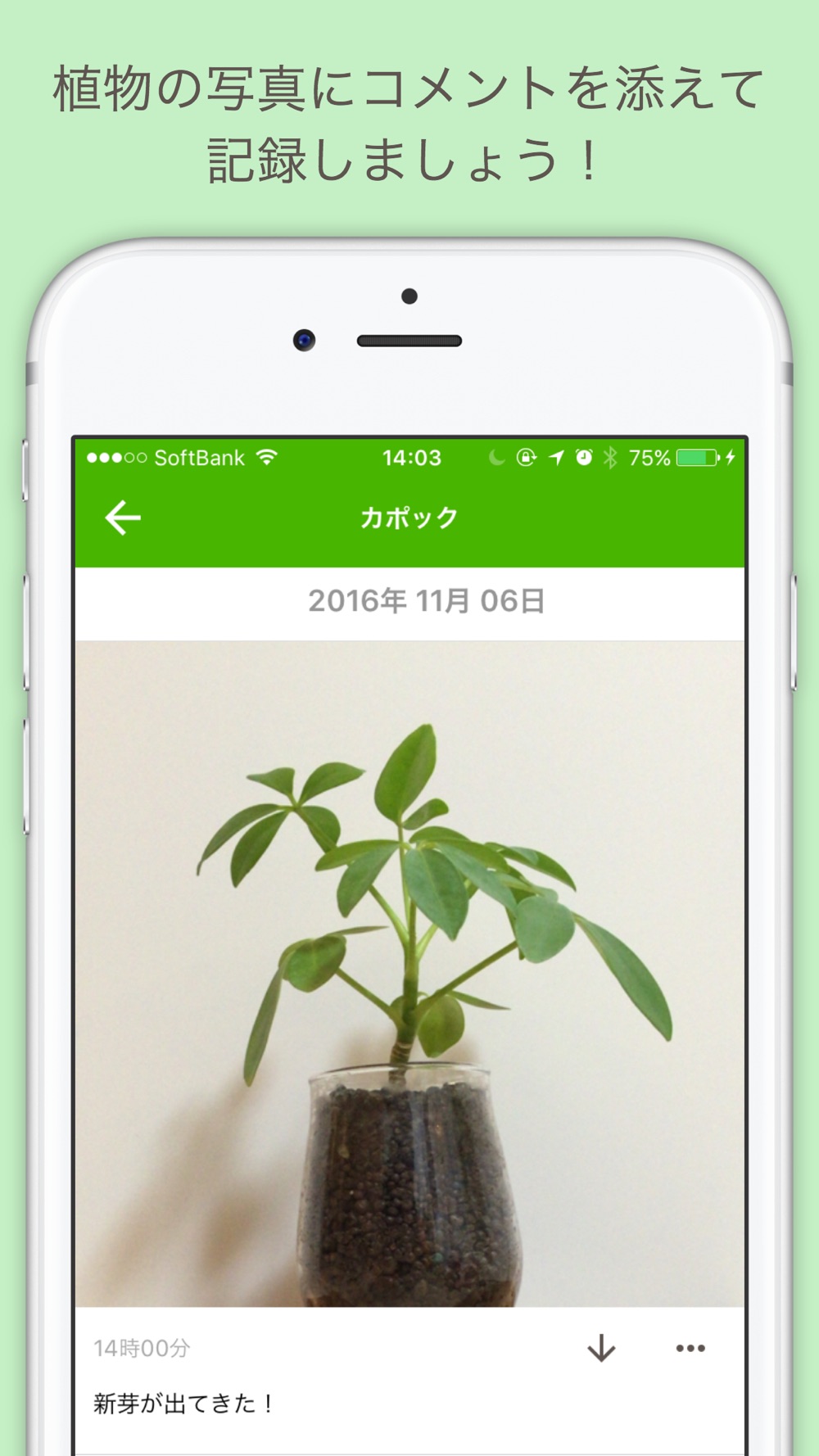 観察日記 Free Download App For Iphone Steprimo Com