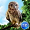 Imagine now human life is boring in contrast of wild owl survival