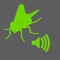 Insta Fly plays a buzzing fly sound instantly when the app loads