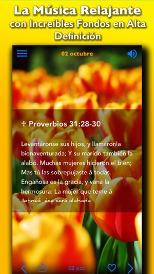 Oraciones Biblicas Diarias – Evangelio D