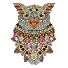 Activities of Owl Floral Coloring Book For Adult Relaxation Game