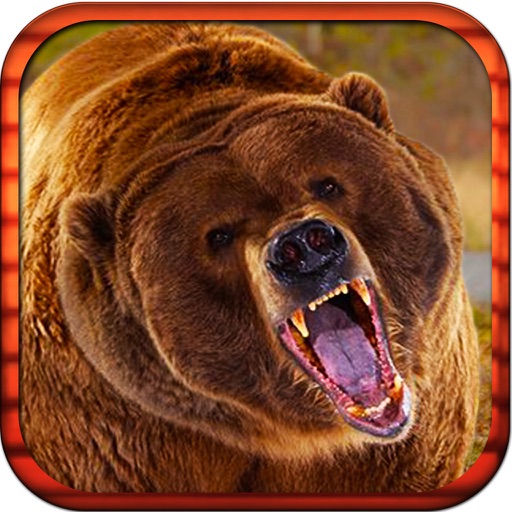 Real Big Bear Bow Island Hunting Survival 3D Pro icon