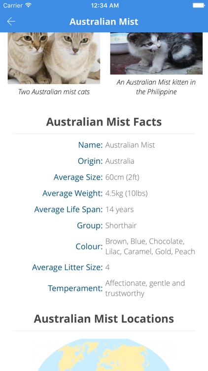 Animal Facts (Animal World)
